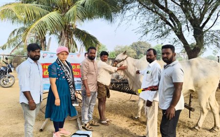 ఉచిత గాలికుంటు వ్యాధి నివారణ టీకాల పంపిణీ