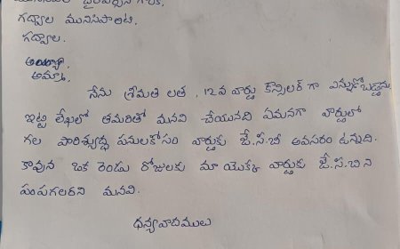 12వ వార్డులో ప్రజా పాలన ప్రగతి ప్రణాళికలు లేవా