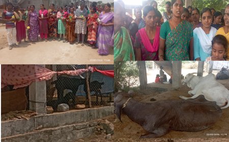 అనంతరం డబల్ బెడ్ రూమ్ ఇండ్ల వద్ద ఆందోళన ...మందు డబ్బాలతో నిరసన