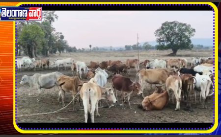 చర్ల కేంద్రంగా భారీగా అక్రమ గోవుల రవాణా: అధికారుల పాత్రపై అనుమానాలు!
