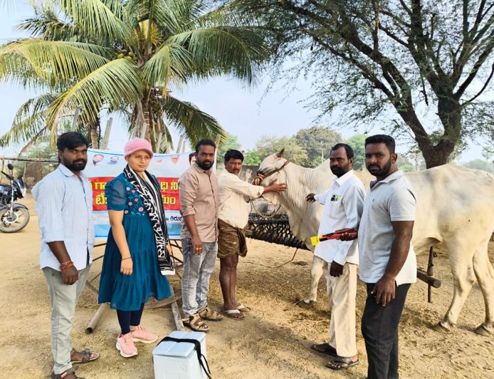ఉచిత గాలికుంటు వ్యాధి నివారణ టీకాల పంపిణీ