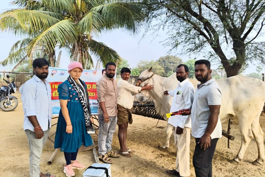 ఉచిత గాలికుంటు వ్యాధి నివారణ టీకాల పంపిణీ