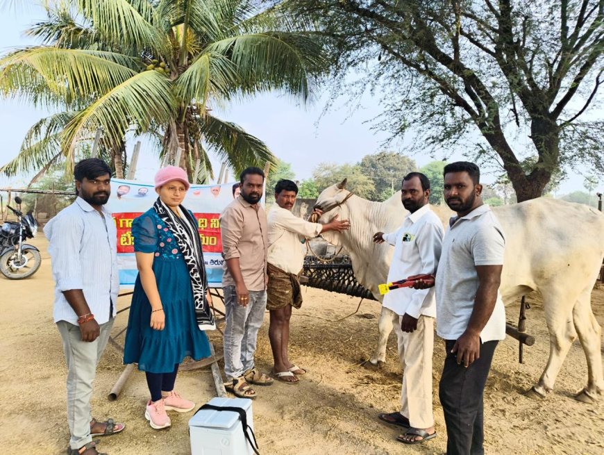 ఉచిత గాలికుంటు వ్యాధి నివారణ టీకాల పంపిణీ