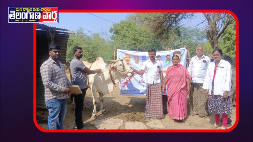 పశువులకు గాలికుంటు వ్యాధి నివారణ టీకాల కార్యక్రమం