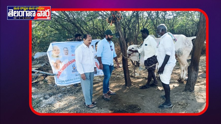 పశువులకు గాలికుంటు వ్యాధి నివారణ టీకాల కార్యక్రమం