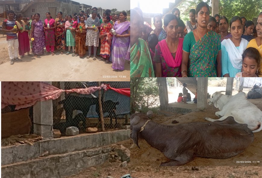 అనంతరం డబల్ బెడ్ రూమ్ ఇండ్ల వద్ద ఆందోళన ...మందు డబ్బాలతో నిరసన