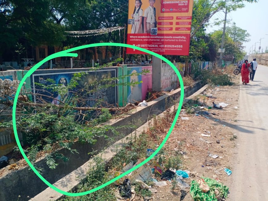 మహానీయులు సాక్షి గా పేరుకపోయిన చెత్త చెదారం, ముండ్ల పొదలు పట్టించుకోని మున్సిపాలిటీ అధికారులు