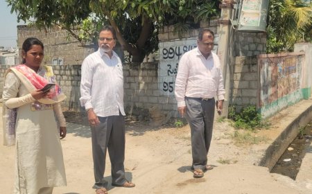 గ్రామ సభలను పకడ్బందీగా నిర్వహించాలి. డి ఎల్ పి ఓ