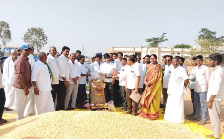 శాంతినగర్‌లో మొక్కజొన్న కొనుగోలు కేంద్రం ప్రారంభం