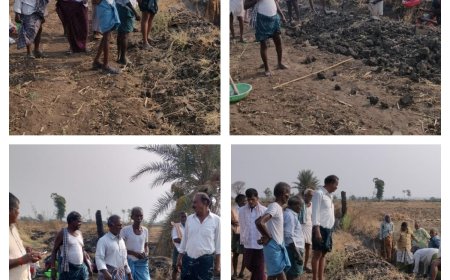 ఉపాధి హామీ పనులను పరిశీలించిన సర్పంచ్ కొత్త వెంకట్ రెడ్డి