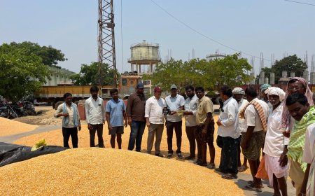 మొక్కజొన్న కొనుగోలు కేంద్రాన్ని తనిఖీ చేసిన ఏవో నాగేశ్వరరావు