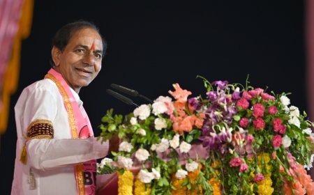 ఈనెల 27వ తేదీన మధ్యాహ్నం 2 గంటలకు తెలంగాణ భవన్‌లో కేసీఆర్