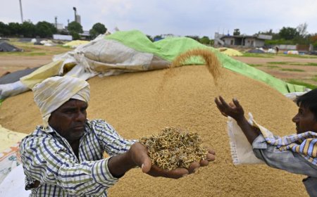 యాసంగి వరి కొనుగోళ్లలో ప్రభుత్వం నిర్లక్ష్యం
