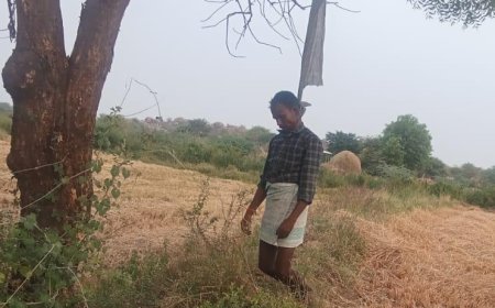 ధరూర్ మండలం మార్లబీడు గ్రామంలో  చెట్టుకు ఉరేసుకుని వ్యక్తి ఆత్మహత్య