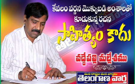 కేవలం వర్ణన మొక్కుబడి అంశాలతో కూడుకున్న రచన సాహిత్యం కాదు