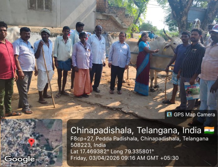 గాలికుంటు వ్యాధి నివారణ టీకాలు వేయించాలి