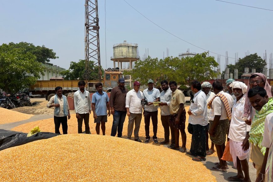 మొక్కజొన్న కొనుగోలు కేంద్రాన్ని తనిఖీ చేసిన ఏవో నాగేశ్వరరావు