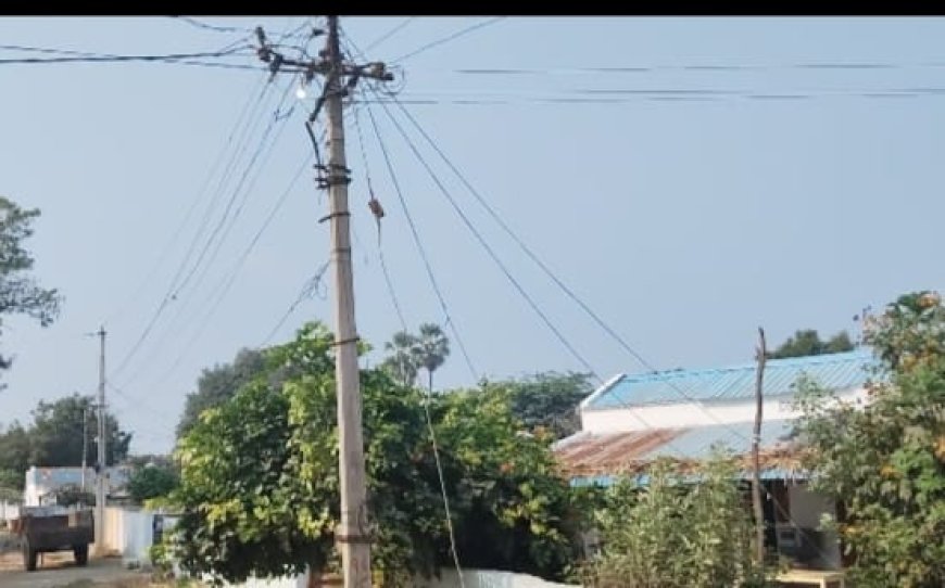 పట్టపగలే వెలుగుతున్న వీధి దీపాలు ...పట్టించుకోని అధికారులు