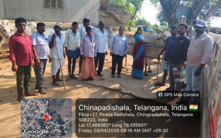 గాలికుంటు వ్యాధి నివారణ టీకాలు వేయించాలి