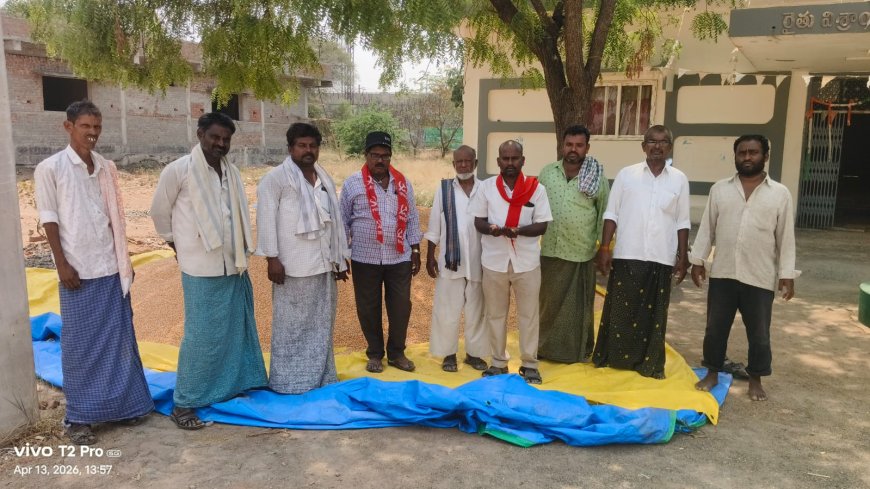 అలంపూర్ ఎక్స్ రోడ్లో మొక్కజొన్న కొనుగోలు చేయాలి