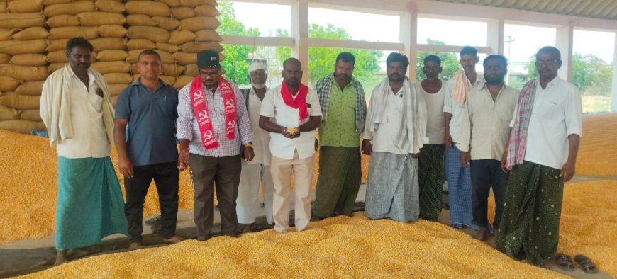 అలంపూర్ ఎక్స్ రోడ్లో మొక్కజొన్న కొనుగోలు చేయాలి