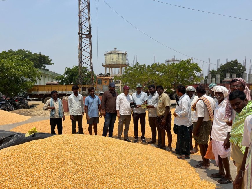 మొక్కజొన్న కొనుగోలు కేంద్రాన్ని తనిఖీ చేసిన ఏవో నాగేశ్వరరావు
