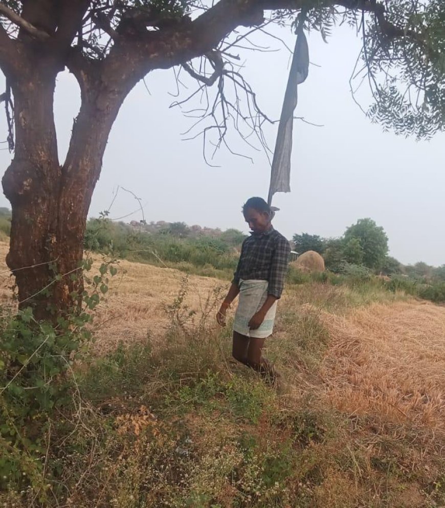 ధరూర్ మండలం మార్లబీడు గ్రామంలో  చెట్టుకు ఉరేసుకుని వ్యక్తి ఆత్మహత్య