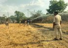 రగులుతున్న వరి కొయ్యల మంటలు