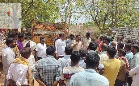 పశువుల అక్రమ రవాణా చేస్తే చట్టపరమైన చర్యలు తప్పవు
