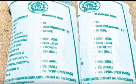 రైతులకు శుభవార్త జిలుగ సీడ్స్ అందుబాటులో ఉన్నవి