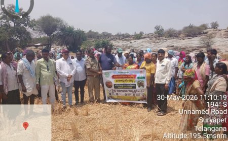 వరి కొయ్యలకు నిప్పు పెట్టొద్దు