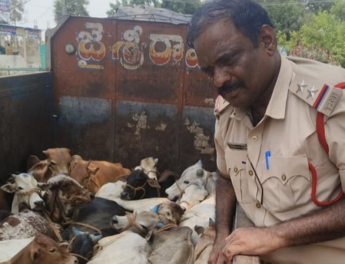 అక్రమంగా ఆవులను తరలిస్తున్న లారీ పట్టివేత