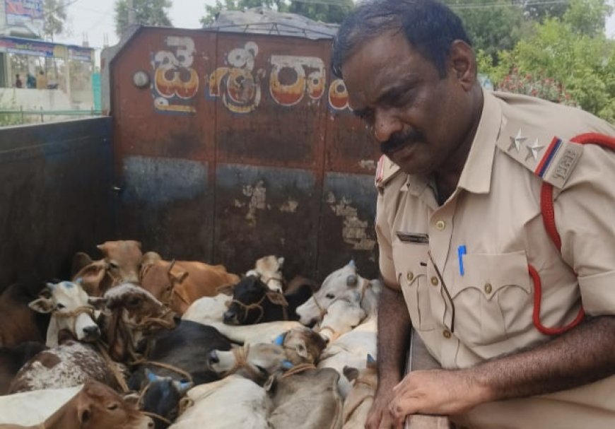 అక్రమంగా ఆవులను తరలిస్తున్న లారీ పట్టివేత