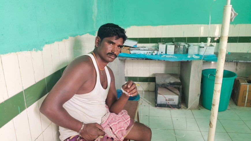 ఉపాధి పనుల్లో ప్రమాదం: పాముకాటుకు గురైన కూలీ