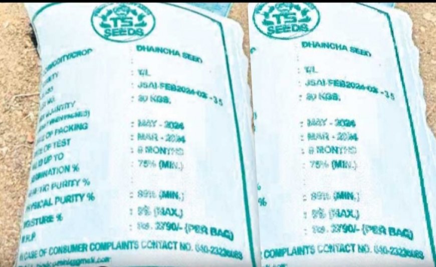 రైతులకు శుభవార్త జిలుగ సీడ్స్ అందుబాటులో ఉన్నవి