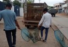 ముమ్మరంగా కొనసాగుతున్న వీధి కుక్కల తరలింపు