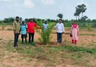 ఉద్యాన పంటల సాగుకు రాయితీలు