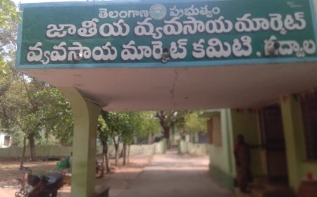 జాతీయ మార్కెట్ యార్డ్ లోని డైలీ వేజ్ వర్కర్లకు జీతాలు ఇవ్వండి