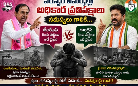 పరస్పర విమర్శల్లో  అధికార ప్రతిపక్షాలు సమస్యలు గాలికి...