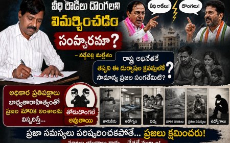 వీధి రౌడీలు దొంగలని విమర్శించడం సంస్కారమా?