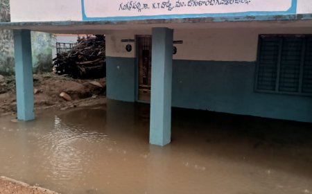 నిర్లక్ష్యపు నీడలో ప్రభుత్వ పాఠశాల 