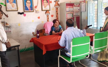 పాఠశాలను ఆకస్మికతనికి డిఇఓ.