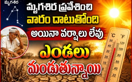 మృగశిర ప్రవేశించి వారం దాటుతోంది అయినా వర్షాలు లేవు. ఎండలు మండుతున్నాయి