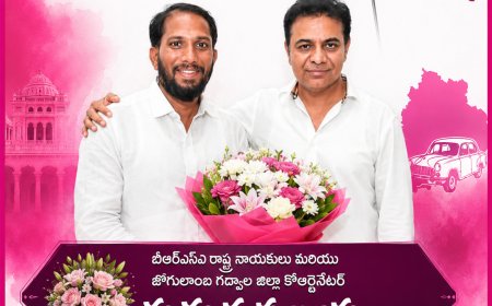 బీఆర్ఎస్ పార్టీ వర్కింగ్ ప్రెసిడెంట్ కేటీ రామన్న ని మర్యాదపూర్వకంగా కలిసిన