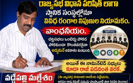 రాజ్యసభ విధాన పరిషత్ లాగా  స్థానిక సంస్థల్లోనూ  వివిధ రంగాల నిపుణుల నియామకం