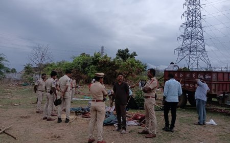ప్రభుత్వ భూముల పరిరక్షణకు ప్రత్యేక చర్యలు, ఆక్రమిస్తే కఠిన చర్యలు