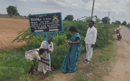 ప్రభుత్వ భూముల కబ్జాపై తాసిల్దార్ యాక్షన్