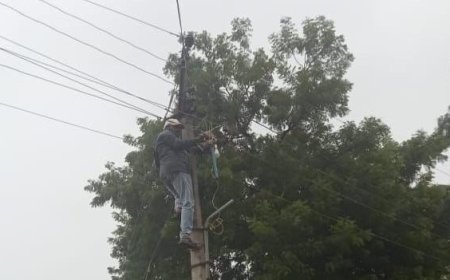భారీ వర్షం నడుమ విద్యుత్ లైన్మెన్ సేవలు