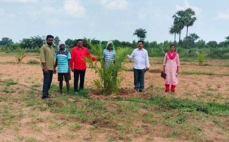 ఉద్యాన పంటల సాగుకు రాయితీలు
