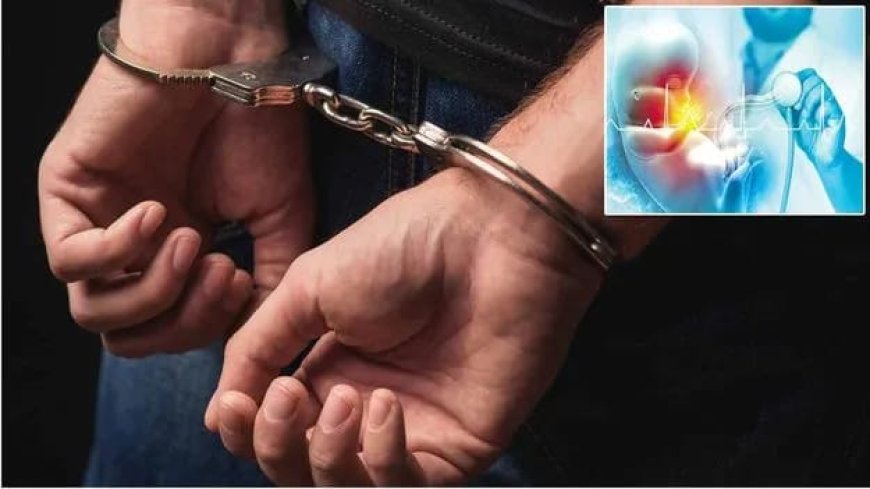 హైదరాబాద్‌లో అక్రమ లింగ నిర్ధారణ రాకెట్ భగ్నం 